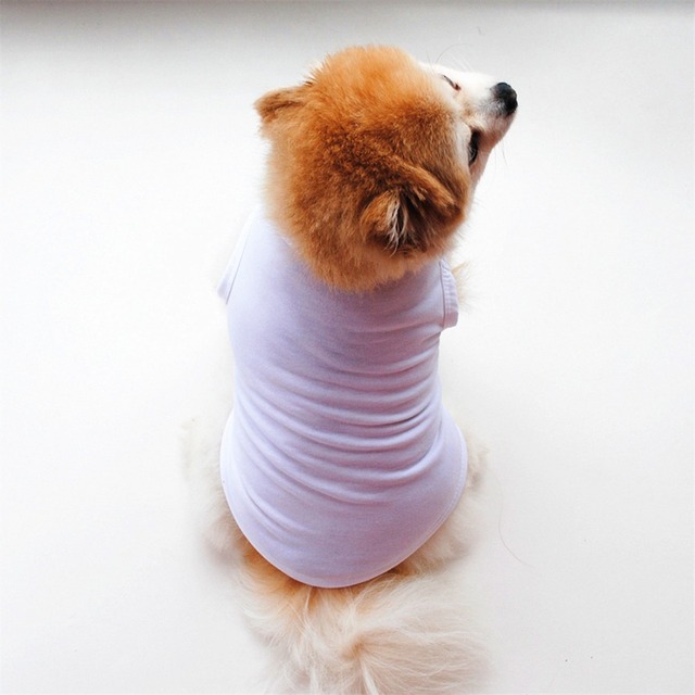 Kamizelka dla psa solidnego koloru - ubranie dla małego psa rasy Yorkshire Terrier - Wianko - 9