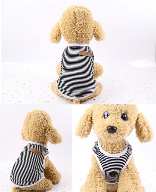 Płaszcz dla małych psów Klasyczny w jednolitym kolorze - letnia koszula Chihuahua Tshirt Yorkshire Terrier Pet Clothes - Wianko - 37