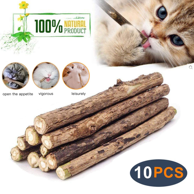 Kocimiętka organiczne Matatabi - 20-100 sztuk, roślinny gryzak czyszczący zęby dla kota - Wianko - 1