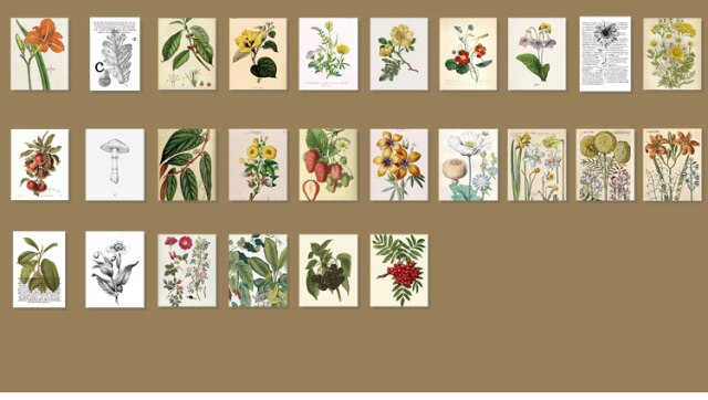 Papierowy materiał na Vintage księgę gości - 366 sztuk, obraz roślin, DIY dekoracje do Scrapbookingu, planera i pamiętnika - Wianko - 32