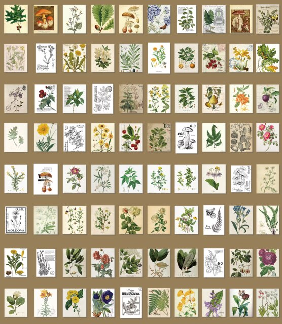Papierowy materiał na Vintage księgę gości - 366 sztuk, obraz roślin, DIY dekoracje do Scrapbookingu, planera i pamiętnika - Wianko - 31