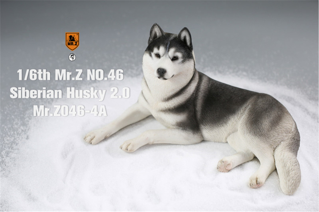 Figurka Husky Mr.Z & Xmmos 1:6 - skala 2.0, model zwierzęcy do kolekcji dla dzieci - Wianko - 20