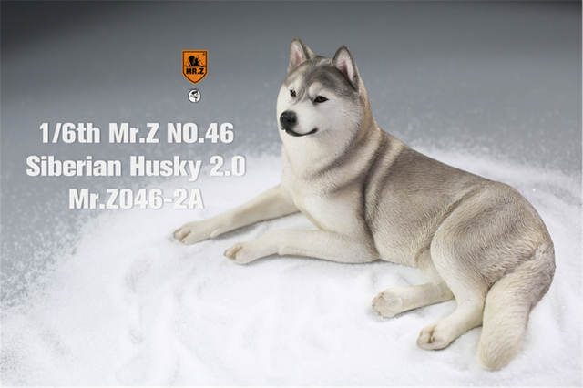 Figurka Husky Mr.Z & Xmmos 1:6 - skala 2.0, model zwierzęcy do kolekcji dla dzieci - Wianko - 11