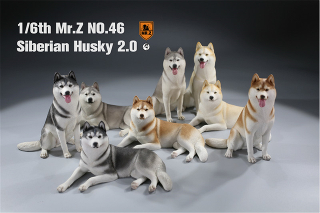 Figurka Husky Mr.Z & Xmmos 1:6 - skala 2.0, model zwierzęcy do kolekcji dla dzieci - Wianko - 1