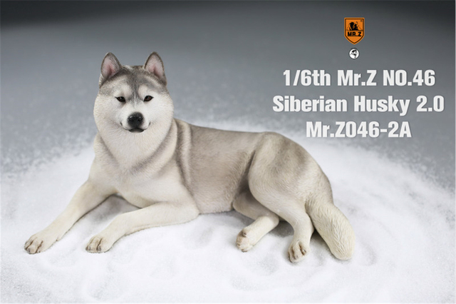 Figurka Husky Mr.Z & Xmmos 1:6 - skala 2.0, model zwierzęcy do kolekcji dla dzieci - Wianko - 8