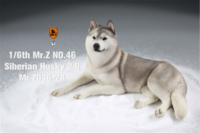 Figurka Husky Mr.Z & Xmmos 1:6 - skala 2.0, model zwierzęcy do kolekcji dla dzieci - Wianko - 12