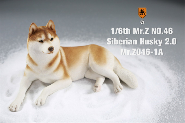 Figurka Husky Mr.Z & Xmmos 1:6 - skala 2.0, model zwierzęcy do kolekcji dla dzieci - Wianko - 6