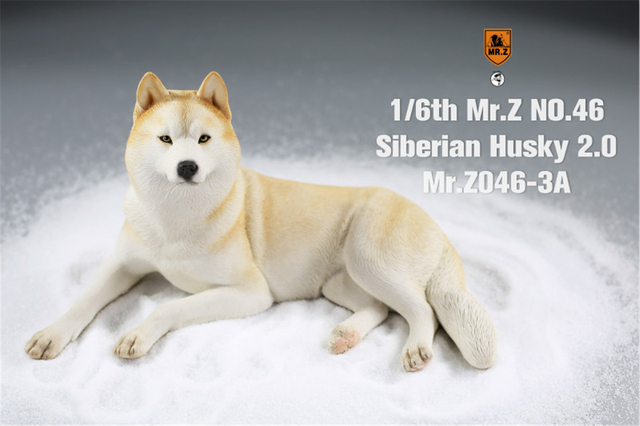 Figurka Husky Mr.Z & Xmmos 1:6 - skala 2.0, model zwierzęcy do kolekcji dla dzieci - Wianko - 13