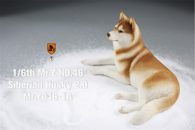 Figurka Husky Mr.Z & Xmmos 1:6 - skala 2.0, model zwierzęcy do kolekcji dla dzieci - Wianko - 5