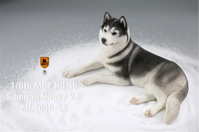 Figurka Husky Mr.Z & Xmmos 1:6 - skala 2.0, model zwierzęcy do kolekcji dla dzieci - Wianko - 19