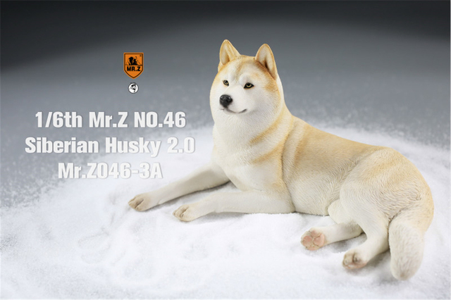 Figurka Husky Mr.Z & Xmmos 1:6 - skala 2.0, model zwierzęcy do kolekcji dla dzieci - Wianko - 15