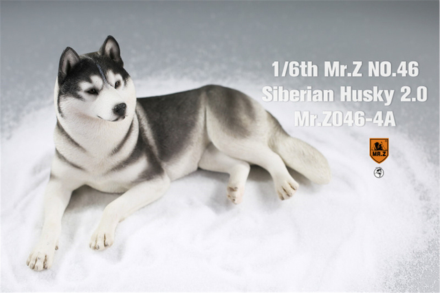 Figurka Husky Mr.Z & Xmmos 1:6 - skala 2.0, model zwierzęcy do kolekcji dla dzieci - Wianko - 18