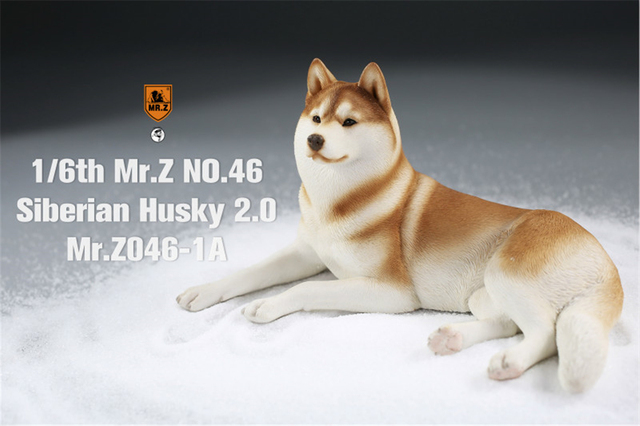 Figurka Husky Mr.Z & Xmmos 1:6 - skala 2.0, model zwierzęcy do kolekcji dla dzieci - Wianko - 4
