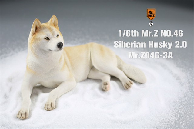 Figurka Husky Mr.Z & Xmmos 1:6 - skala 2.0, model zwierzęcy do kolekcji dla dzieci - Wianko - 14