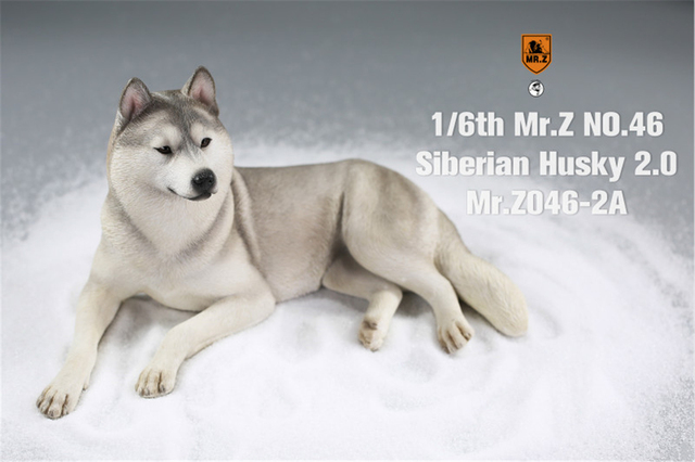 Figurka Husky Mr.Z & Xmmos 1:6 - skala 2.0, model zwierzęcy do kolekcji dla dzieci - Wianko - 9
