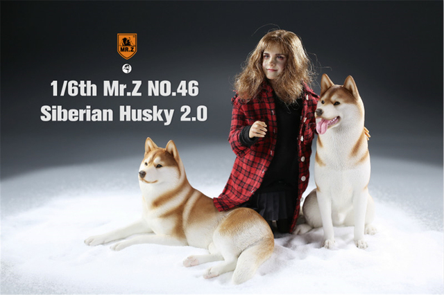 Figurka Husky Mr.Z & Xmmos 1:6 - skala 2.0, model zwierzęcy do kolekcji dla dzieci - Wianko - 2