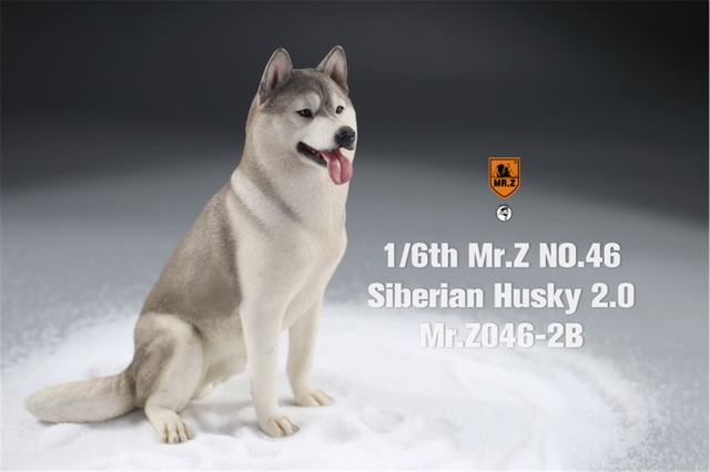 Figurka Husky Mr.Z & Xmmos 1:6 - skala 2.0, model zwierzęcy do kolekcji dla dzieci - Wianko - 26