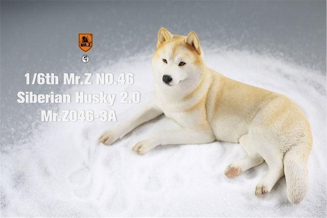 Figurka Husky Mr.Z & Xmmos 1:6 - skala 2.0, model zwierzęcy do kolekcji dla dzieci - Wianko - 16