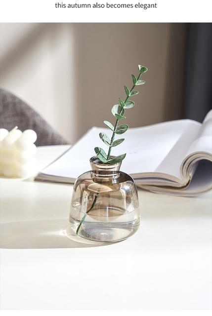 Nordic szklany wazon gradientowy złoty - dekoracja suszonych kwiatów i roślin, wazon hydroponiczny - Wianko - 6