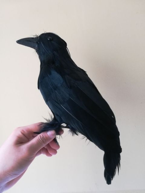Zabawka Pluszowy czarny kruk - Pióra wrona ptak, rekwizyt na Halloween, 30 cm (H1002) - Wianko - 2