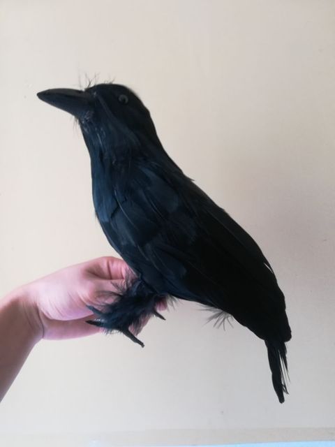 Zabawka Pluszowy czarny kruk - Pióra wrona ptak, rekwizyt na Halloween, 30 cm (H1002) - Wianko - 5