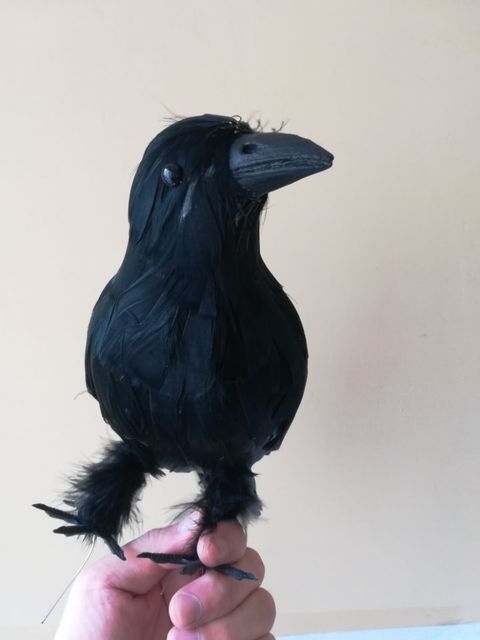 Zabawka Pluszowy czarny kruk - Pióra wrona ptak, rekwizyt na Halloween, 30 cm (H1002) - Wianko - 4