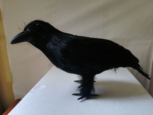 Zabawka Pluszowy czarny kruk - Pióra wrona ptak, rekwizyt na Halloween, 30 cm (H1002) - Wianko - 1