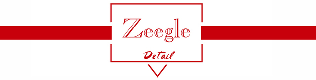 Dywan Chenille Zeegle - miękki, puszysty, długi włos, okrągły, różne rozmiary (60,80,100cm) - Wianko - 1