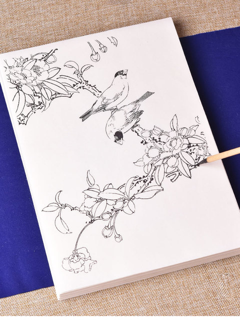 Papier Xuan do chińskiego akwarelowego malarstwa: Tracing papierowy z rękopisem kwiatów i ptaków dla początkujących i dojrzałych - Wianko - 9
