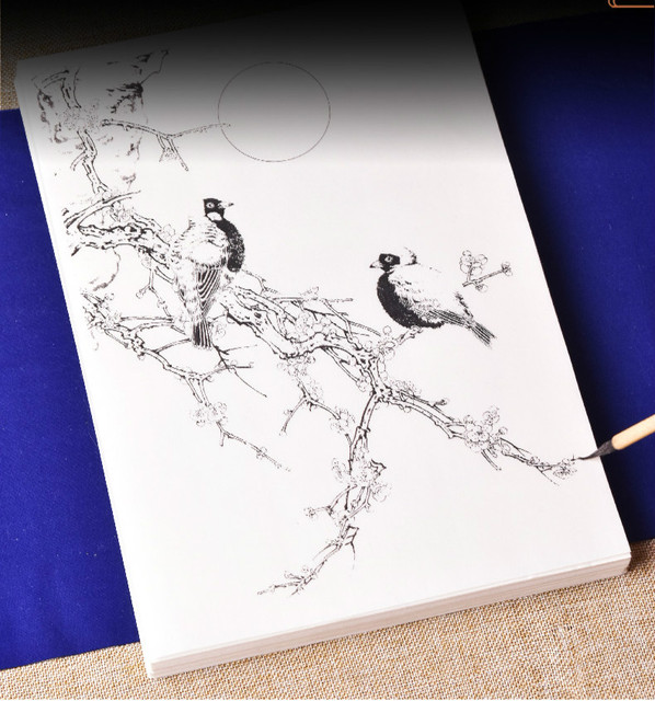 Papier Xuan do chińskiego akwarelowego malarstwa: Tracing papierowy z rękopisem kwiatów i ptaków dla początkujących i dojrzałych - Wianko - 1
