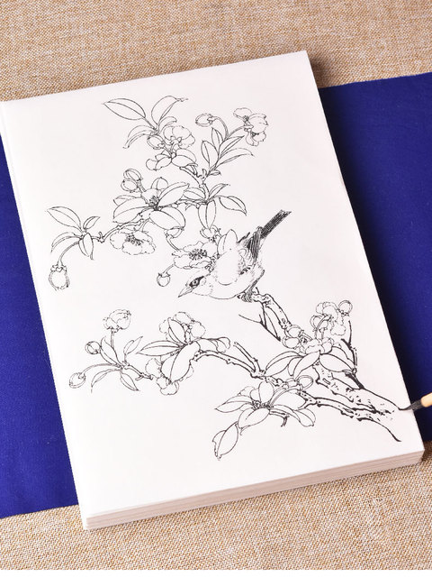 Papier Xuan do chińskiego akwarelowego malarstwa: Tracing papierowy z rękopisem kwiatów i ptaków dla początkujących i dojrzałych - Wianko - 6