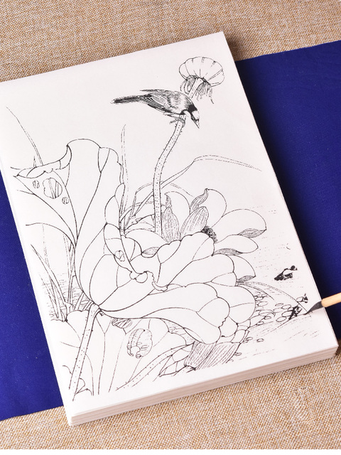 Papier Xuan do chińskiego akwarelowego malarstwa: Tracing papierowy z rękopisem kwiatów i ptaków dla początkujących i dojrzałych - Wianko - 5
