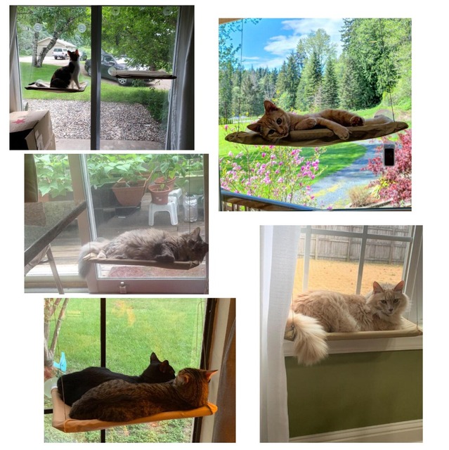 Wygodne hamak dla kota do spania przy oknie - uchwyt do montażu, wytrzymałe, zwieszane łóżka dla kotów - Wianko - 2