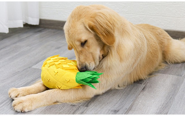 Interaktywne pluszowe zabawki dla psa - zestaw zabawek do gryzienia dla szczeniąt i psów - różne rozmiary - Wianko - 9