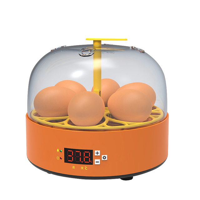 Inkubator do jaj dla drobiu 6 jaj autom. podgrzewacz PID temp. dzieci prezent - Wianko - 10