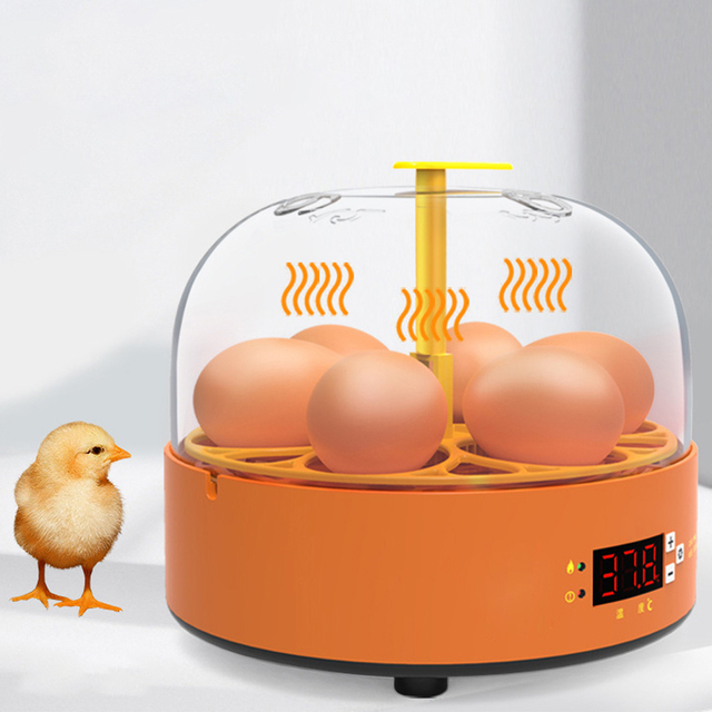 Inkubator do jaj dla drobiu 6 jaj autom. podgrzewacz PID temp. dzieci prezent - Wianko - 3