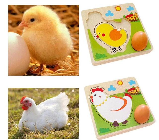 Drewniane puzzle dla dzieci - Kurczak Cartoon wczesnej edukacji, wielowarstwowe, emulacyjne jaja - Wianko - 5
