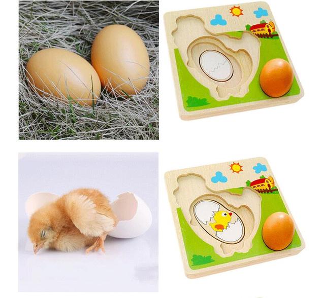 Drewniane puzzle dla dzieci - Kurczak Cartoon wczesnej edukacji, wielowarstwowe, emulacyjne jaja - Wianko - 4