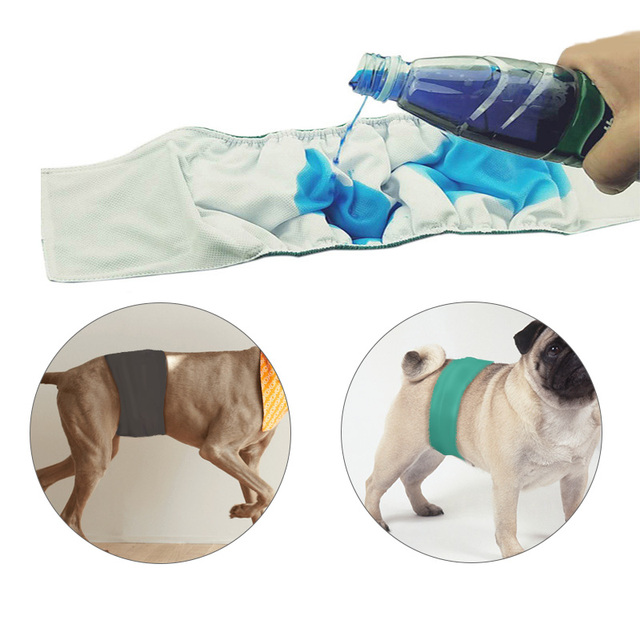 Sanitarne spodnie zmywalne dla psów - 5 kolorów, męskie, dostępne rozmiary XS-XL - Wianko - 7