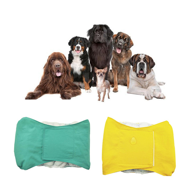 Sanitarne spodnie zmywalne dla psów - 5 kolorów, męskie, dostępne rozmiary XS-XL - Wianko - 5