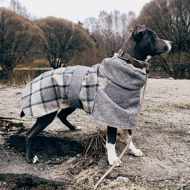 Ciepły płaszcz/kurtka dla dużego psa - Greyhound Wheeling, zimowe ubranka dla zwierząt domowych - Wianko - 7