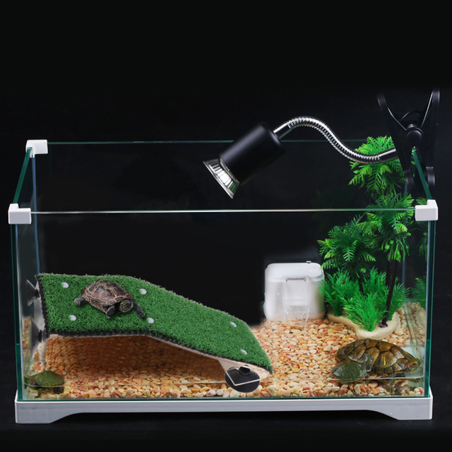 Rzeczywisty taras dla żółwia z symulacją trawnika, platformą do wspinaczki i zbiornikiem akwarium - Wianko - 2