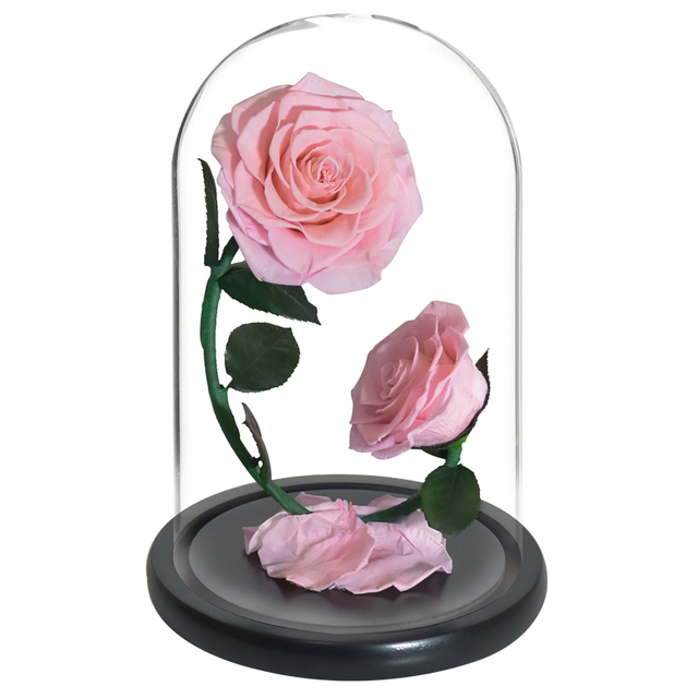 2 szklane kopuły z różą wieczną - piękno i bestia Enhanched, zachowane Rose Forever Flower w etui prezentowym - Wianko - 5