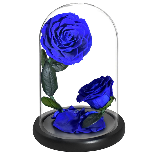 2 szklane kopuły z różą wieczną - piękno i bestia Enhanched, zachowane Rose Forever Flower w etui prezentowym - Wianko - 3