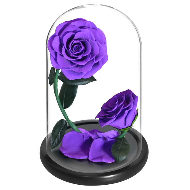 2 szklane kopuły z różą wieczną - piękno i bestia Enhanched, zachowane Rose Forever Flower w etui prezentowym - Wianko - 6