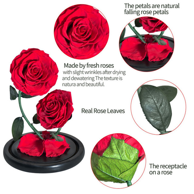 2 szklane kopuły z różą wieczną - piękno i bestia Enhanched, zachowane Rose Forever Flower w etui prezentowym - Wianko - 7