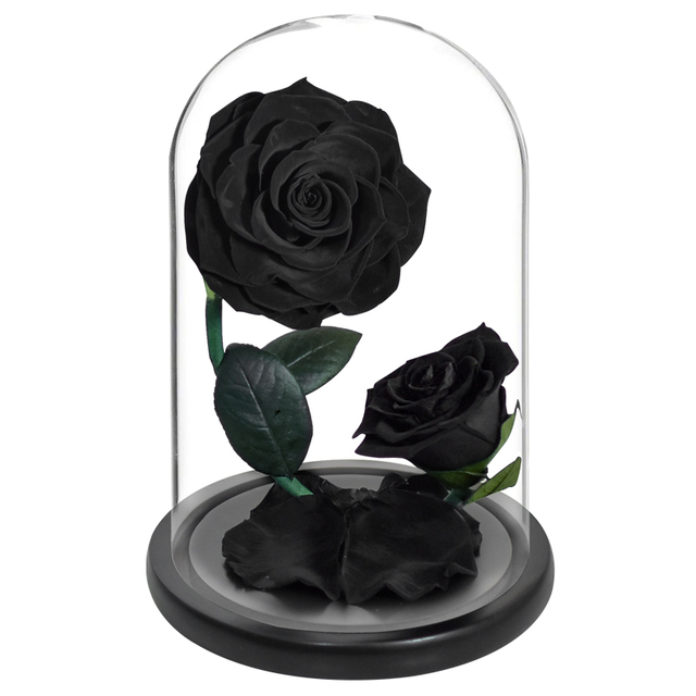 2 szklane kopuły z różą wieczną - piękno i bestia Enhanched, zachowane Rose Forever Flower w etui prezentowym - Wianko - 4