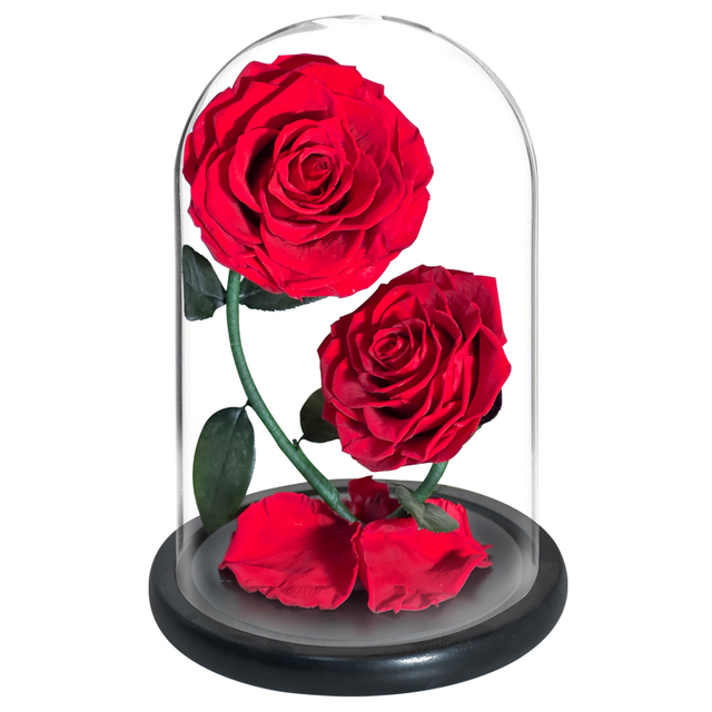 2 szklane kopuły z różą wieczną - piękno i bestia Enhanched, zachowane Rose Forever Flower w etui prezentowym - Wianko - 2