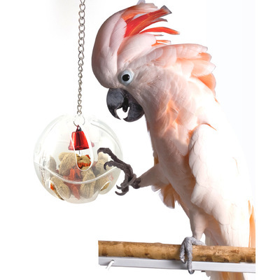 Zabawka żywnościowa i szkoleniowa dla ptaków – podajnik na łańcuszku z dzwonkiem, do klatki - Wianko - 1