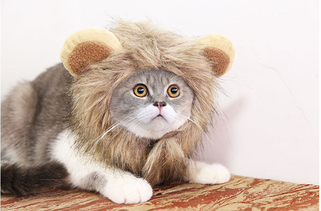 Peruka kota z lwia grzywą dla małych psów - kostium zwierzęcy na Halloween - Wianko - 22